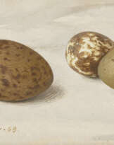 ELIOT HODGKIN (1905-1987)