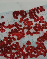 Sieber, Hans Ruedi (1926 - Winterthur - 2002) - Ki…