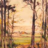 Tschirch, Egon (1889 Rostock-1948 Rostock) "Landschaft mit Bauerngehöft", Aquarell, sign. u.r. und dat. ´42,34x27 cm, ungerahmt (eigenes Atelier in Rostock, Studienreisen nach Südfrankreich und Nordafrika, sieh… - photo 1