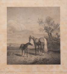 &quot;Pferde auf der Weide&quot;, Litho., gedruckt von Joseh Selb (1784-1832), Blatt fleckig, 29x26,5m cm, im Passepartout hinter Glas und Rahmen