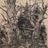 Schultze-Jasmer, Theodor (1888 Oschatz-1975 Prerow) "Waldlandschaft", Holzschnitt, sign. u.r. 44x36,5 cm, im Passepartout hinter Glas und Rahmen - photo 1