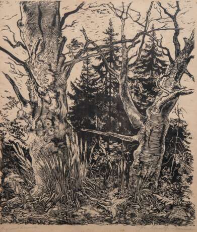 Schultze-Jasmer, Theodor (1888 Oschatz-1975 Prerow) "Waldlandschaft", Holzschnitt, sign. u.r. 44x36,5 cm, im Passepartout hinter Glas und Rahmen - photo 1