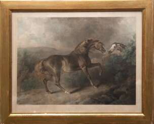 Ward, William I (1766-1826) &quot;Pferd Jupiter&quot;, Farbgraphik um 1800, unten mittig bez., Blatt gebräunt, 42x53 cm, hinter Glas und Rahmen