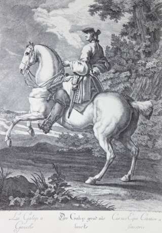 Ridinger, Johann Elias (1698 Ulm-1767 Augsburg), "Der Galop gerad aus links", Kupferstich, 19. Jh., 32x25 cm, im Passepartout, hinter Glas, Rahmen, (von Christoph Rasch in Ulm und Johann Falch in Augsburg unte… - фото 1