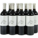 8 Flaschen spanischer Rotwein Clio, Jumilla, 2x JG… - фото 1