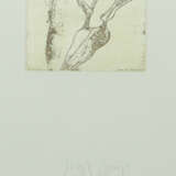 Beuys, Joseph Krefeld 1921 - 1986 Düsseldorf, Prof… - photo 1