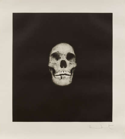 Damien Hirst. Skull V - photo 1