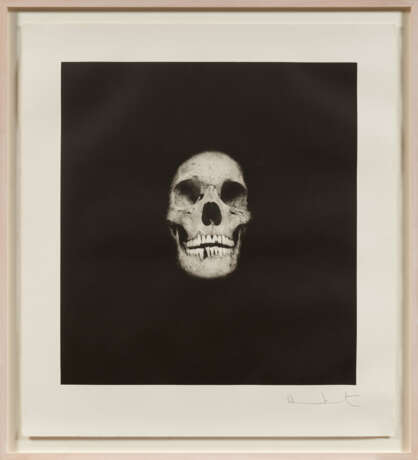 Damien Hirst. Skull V - photo 2