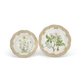 A ROYAL COPENHAGEN PORCELAIN 'FLORA DANICA' PART DINNER SERVICE - photo 8