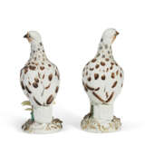 A PAIR OF MEISSEN PORCELAIN MODELS OF BIRDS - photo 5