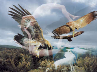 KULIK, OLEG (B. 1961) Eagles, from the series “Museum of Nature or New Paradise” 