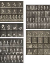 EADWEARD MUYBRIDGE (1830–1904)