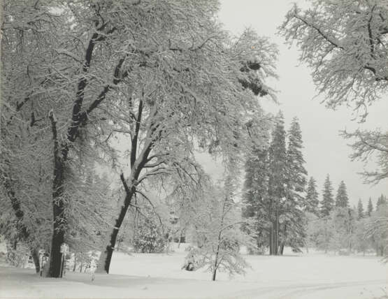 ANSEL ADAMS (1902–1984) - Foto 1