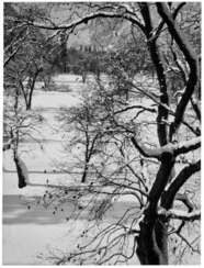 ANSEL ADAMS (1902–1984)