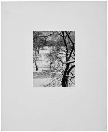 ANSEL ADAMS (1902–1984) - фото 2