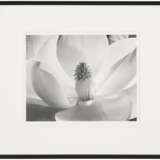 IMOGEN CUNNINGHAM (1883-1976) - фото 4