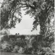 ROBERT ADAMS (B. 1937) - Jetzt bei der Auktion
