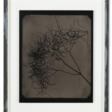 HIROSHI SUGIMOTO (B. 1948) - Jetzt bei der Auktion
