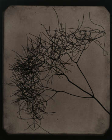 HIROSHI SUGIMOTO (B. 1948) - Foto 2