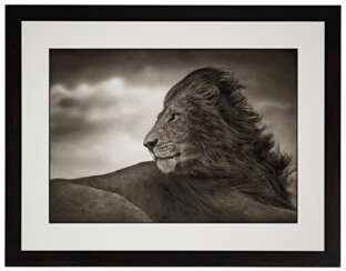 NICK BRANDT (B. 1966)