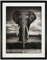 NICK BRANDT (B. 1966)