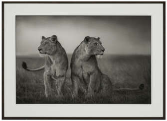 NICK BRANDT (B. 1964)