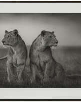 NICK BRANDT (B. 1964)