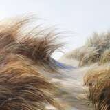  The laughter of the wind dances on the tips of the sedges Canvas oil 21th century - photo 2