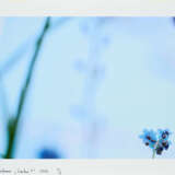 Bernadette Lahmer. Garten 5 - photo 1