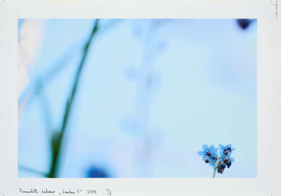 Bernadette Lahmer. Garten 5 - photo 1