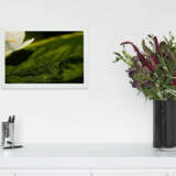 Bernadette Lahmer. Edition Nr. 139 - photo 3