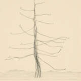 Thomas Zipp. Blume - photo 6