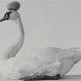 Bernadette Lahmer. Untitled (Schwan mit Stein) - фото 1