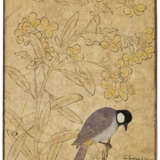 A WHITE-EARED BULBUL - photo 1