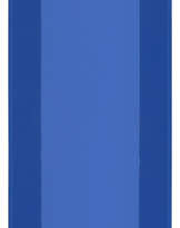BARNETT NEWMAN (1905-1970)