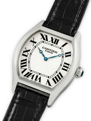 CARTIER, PLATINUM TORTUE "COLLECTION PRIVÉE CARTIER PARIS CPCP" - Foto 3