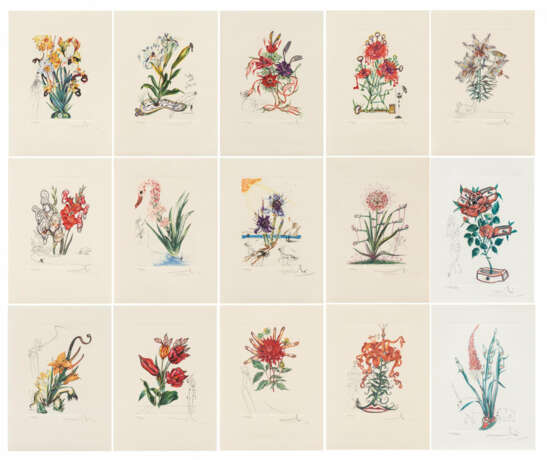 Salvador Dalí. Surrealistische Blumen - Foto 1
