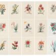 Salvador Dalí. Surrealistische Blumen - Auction prices