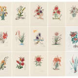 Salvador Dalí. Surrealistische Blumen - Foto 1
