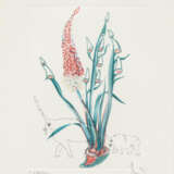 Salvador Dalí. Surrealistische Blumen - Foto 5