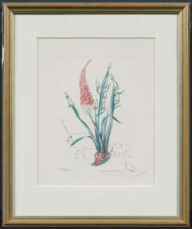 Salvador Dalí. Surrealistische Blumen - Foto 6