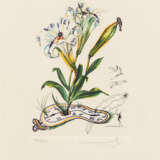 Salvador Dalí. Surrealistische Blumen - Foto 8