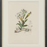 Salvador Dalí. Surrealistische Blumen - Foto 9