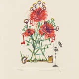 Salvador Dalí. Surrealistische Blumen - Foto 14