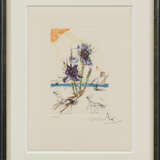 Salvador Dalí. Surrealistische Blumen - Foto 18