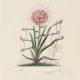 Salvador Dalí. Surrealistische Blumen - Foto 20