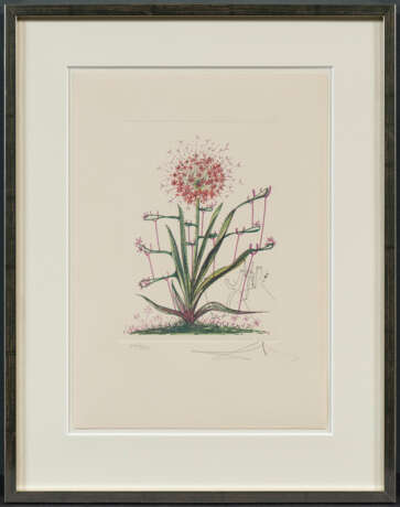 Salvador Dalí. Surrealistische Blumen - Foto 21