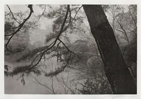 Lee Friedlander. Cherry Blossom Time in Japan - photo 11