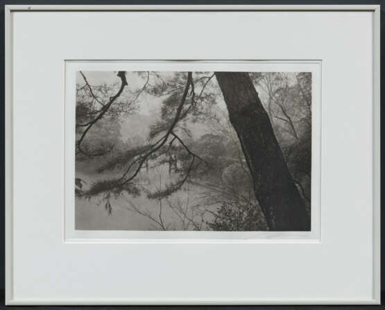 Lee Friedlander. Cherry Blossom Time in Japan - photo 12