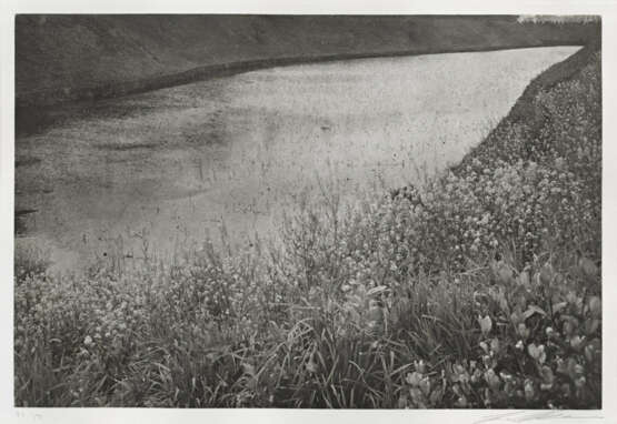Lee Friedlander. Cherry Blossom Time in Japan - photo 17